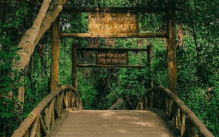 Cầu gỗ giữa rừng tràm Xẻo Quýt